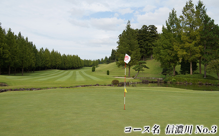 湯田上カントリークラブ利用補助券 ゴルフ場利用権 ゴルフプレー スポーツ 新潟県田上町