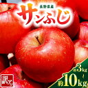 【ふるさと納税】【選べる】訳あり サンふじ 3kg~10kg (6～36玉)| ふるさと納税 果物 くだもの フルーツ サンふじ リンゴ りんご 林檎 信州産 長野県 松本市 訳あり