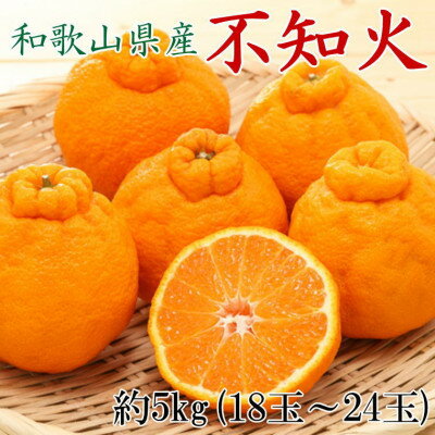 【ふるさと納税】和歌山県産不知火約5kg（18玉～24玉おまかせ）　※2027年2月下旬～2027年3月下旬頃発送予定（お届け日指定不可）