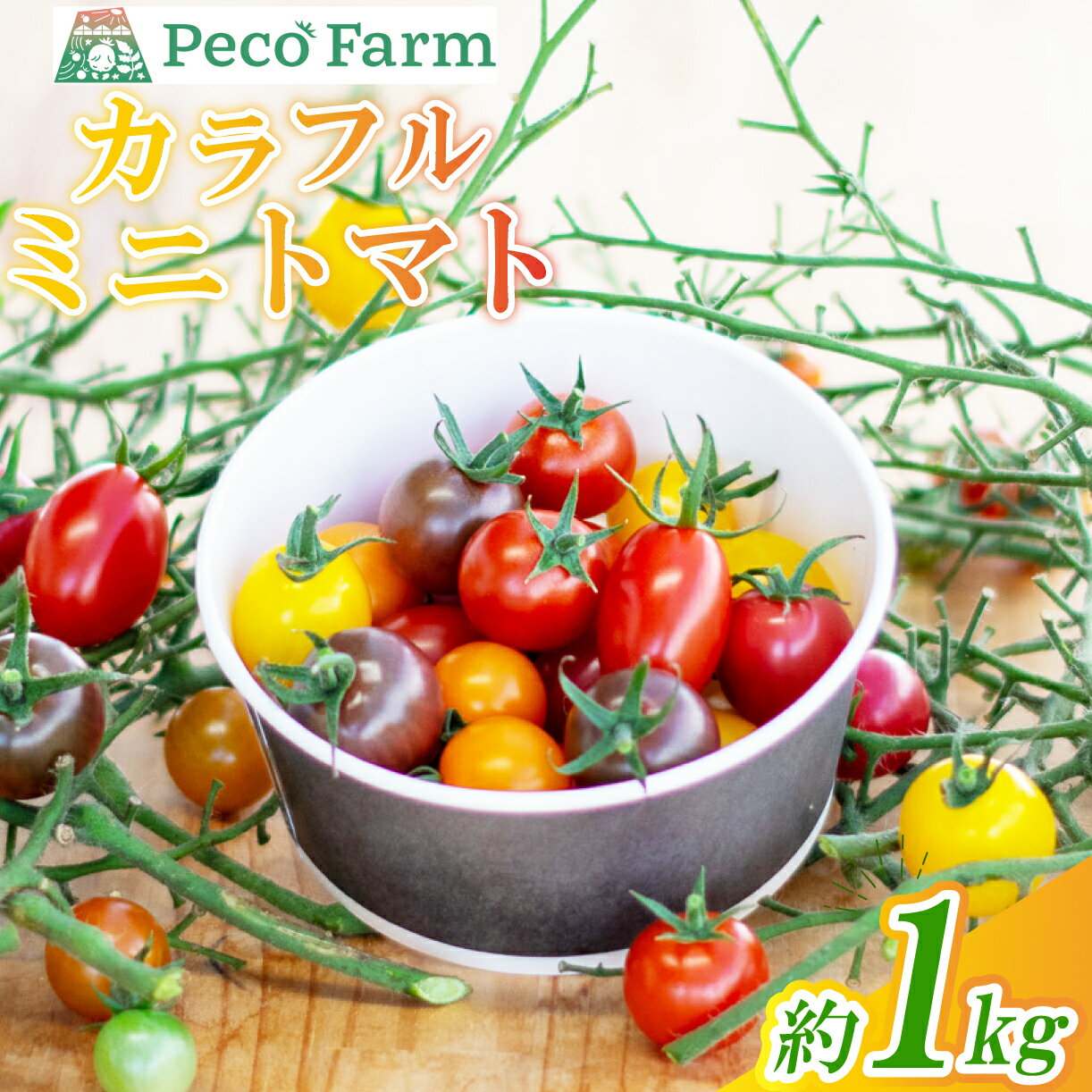 【ふるさと納税】 カラフルミニトマト MIX 約1kg 新鮮野菜 野菜 サラダ にぴったり トマト 予約受付