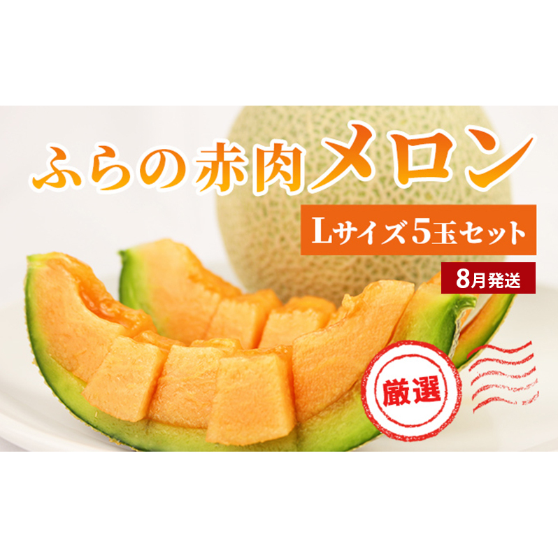 北海道上富良野 容量満足ボリューム定期便 メロン 豚 ホルモン サガリ 炭酸水 ビール_イメージ3