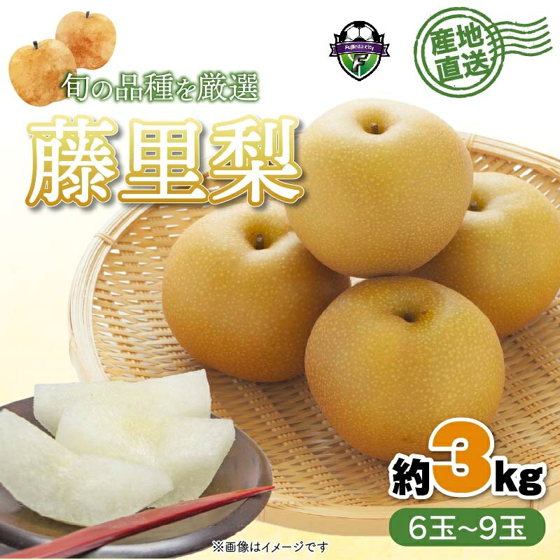 【ふるさと納税】 梨 藤里梨 3kg 6玉 - 9玉 オンライン決済限定 フルーツ 果物 くだもの なし ナシ 旬 産地直送 高糖度 みずみずしい 贈答用 ギフト 秋 収穫 和梨 幸水 豊水 新水 喜水 季節 果実 特産品 藤枝市 静岡県