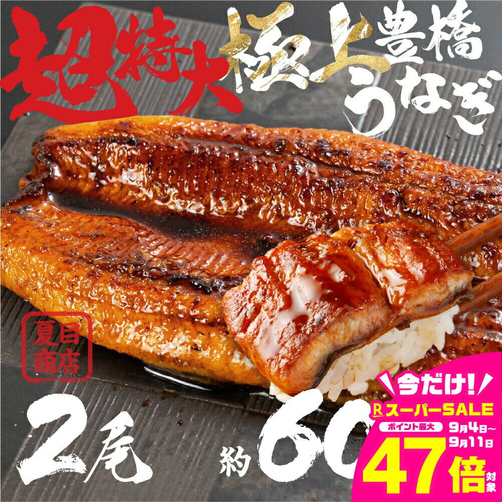【ふるさと納税】希少 極上 豊橋うなぎ 特大 2尾 ~600g蒲焼 厳選 国産 鰻 簡易包装 訳あり ウナギ うなぎ 鰻 蒲焼 夏目商店 ギフト 配布 最高級 ひつまぶし 土用丑の日 ギフト 冷凍 増量 丑の日 簡単調理豊橋うなぎ unagi お取り寄せ 送料無料 愛知県 豊橋市