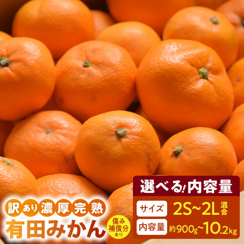 【ふるさと納税】【限定】【2025年 先行予約】 訳あり 有田みかん 選べる 容量 900g ～ 10.2kg 補償分付 200g 込み 発送月 10 ～ 1 月 2S ～ 2L サイズ 混合 家庭用 甘み 酸味 バランス 濃厚 完熟 鮮度 旬 お取り寄せ お取り寄せフルーツ 和歌山県 湯浅町 送料無料