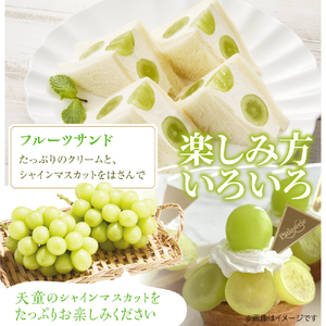ぶどう ( シャインマスカット ) 1.2kg フルーツ 果物 山形 08-08-016