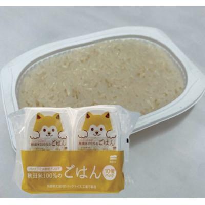 ふるさと納税 大潟村 秋田米100%のごはん パックライス　180g×40P◆秋田県