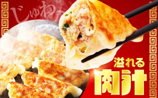 餃子 ぎょうざ ギョーザ 中華 冷凍  冷凍食品 惣菜 お惣菜 大容量 おかず 