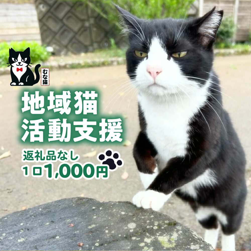 【ふるさと納税】【返礼品なし】「「むな猫（旧：てくてくさくらねこ）」　地域猫活動支援【むな猫】_AS1118-00 福岡県 見守り ボランティア活動 医療費 エサ代 ふるさと納税 保護猫 返礼品なし