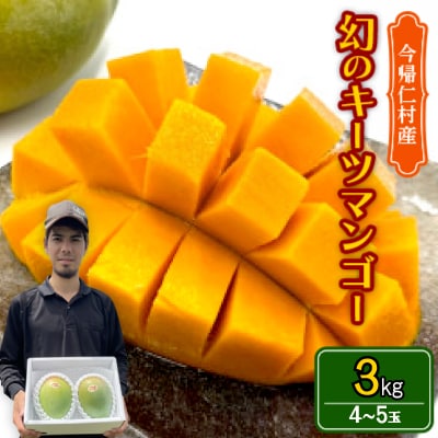【2027年8月下旬から順次発送】仲本マンゴー園の幻のキーツマンゴー3kg(4～5玉)【配送不可地域：離島】