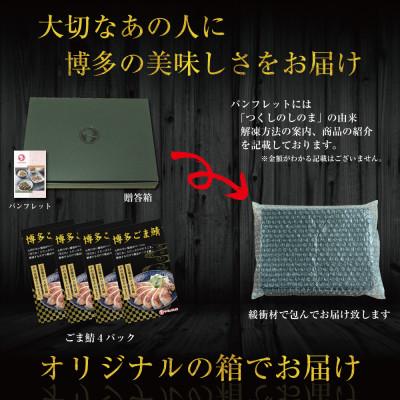 ふるさと納税 福岡市 玄界灘産 天然真鯖 博多ごま鯖　400g(100g×4パック) JX08 |  | 03