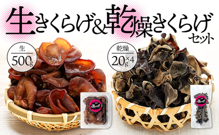 U01-002 生きくらげ＆乾燥きくらげセット