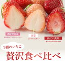 【ふるさと納税】【1月～4月 順次配送】3色いちご食べ比べセット「さがほのか」「淡雪（白いちご）」「 真紅の美鈴（黒いちご）」