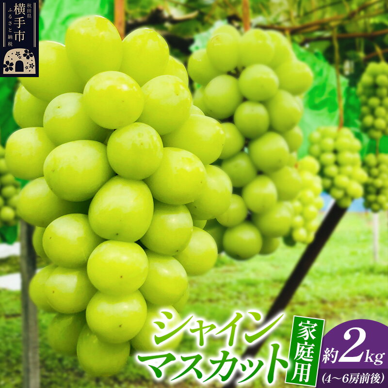 【ふるさと納税】【ご家庭用】シャインマスカット 約2kg【シミ・カスリ・小房・房ばらつき等あり】