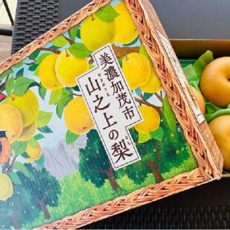 【先行予約】【2024年10月中旬より順次発送】山之上 梨 １箱 新高 3.5kg程度 | 丸坂山田農園 なし にいたか M11S70