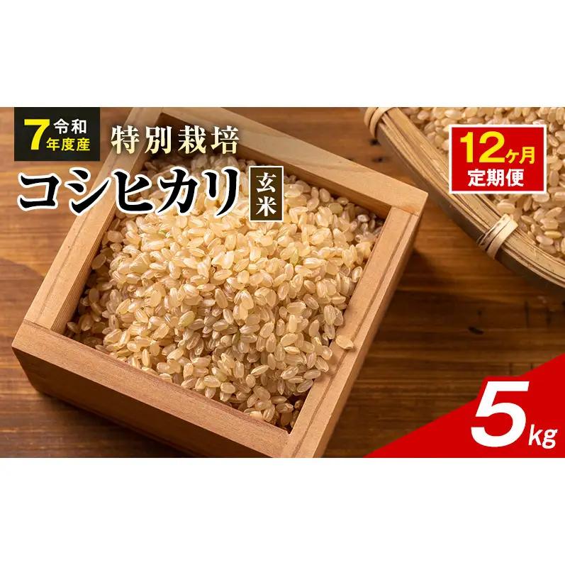 令和7年産 特別栽培米 コシヒカリ 玄米 5kg 静岡県産 色彩選別済 食に意識高い方へオススメ 12ヶ月定期便