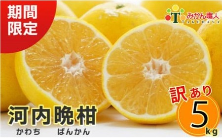 訳あり 河内晩柑 5kg みかん職人武田屋 河内晩柑