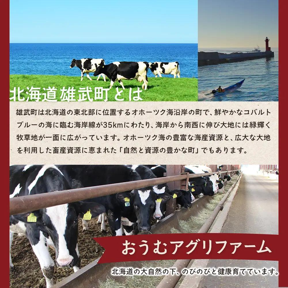 雄武産牛肉セット(冷凍)牛バラ肉350g牛もも肉350g【0911301】