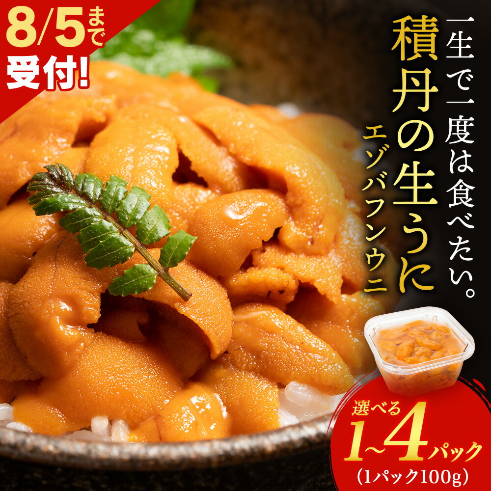 【ふるさと納税】【2025年夏発送分】バフンウニ 選べる1パック～4パック 1パック100g 大川商店北海道ふるさと納税 積丹町 ふるさと納税 海鮮 北海道 エゾバフンウニ 塩水 ばふんうに 海鮮 うに 生うに 北海道 うに 雲丹 通販 ギフト ウニ うに 2025年