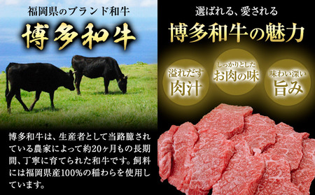 博多和牛 カルビ 上 500g 株式会社寛大グループ 《30日以内に出荷予定(土日祝除く)》 肉 福岡県 小竹町 にく