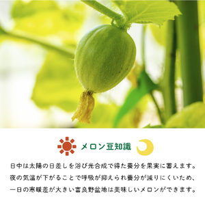 【2026年8月～発送】JAふらの 赤肉メロン 2玉 計3.2kg 富良野市 メロン フルーツ 果物