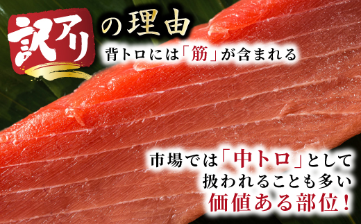 北海道産 天然 本マグロ 背トロ 冷凍 200g × 2柵 (訳あり 筋あり) 国産の本鮪を食卓へ【配送不可地域：離島】