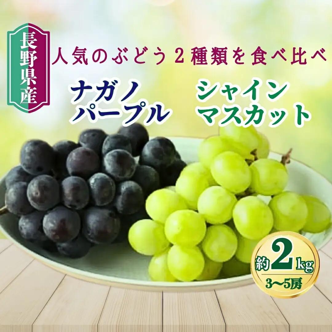 【2026年先行予約】ナガノパープル & シャインマスカット  家庭用 約2kg（3~5房）｜ ナガノパープル