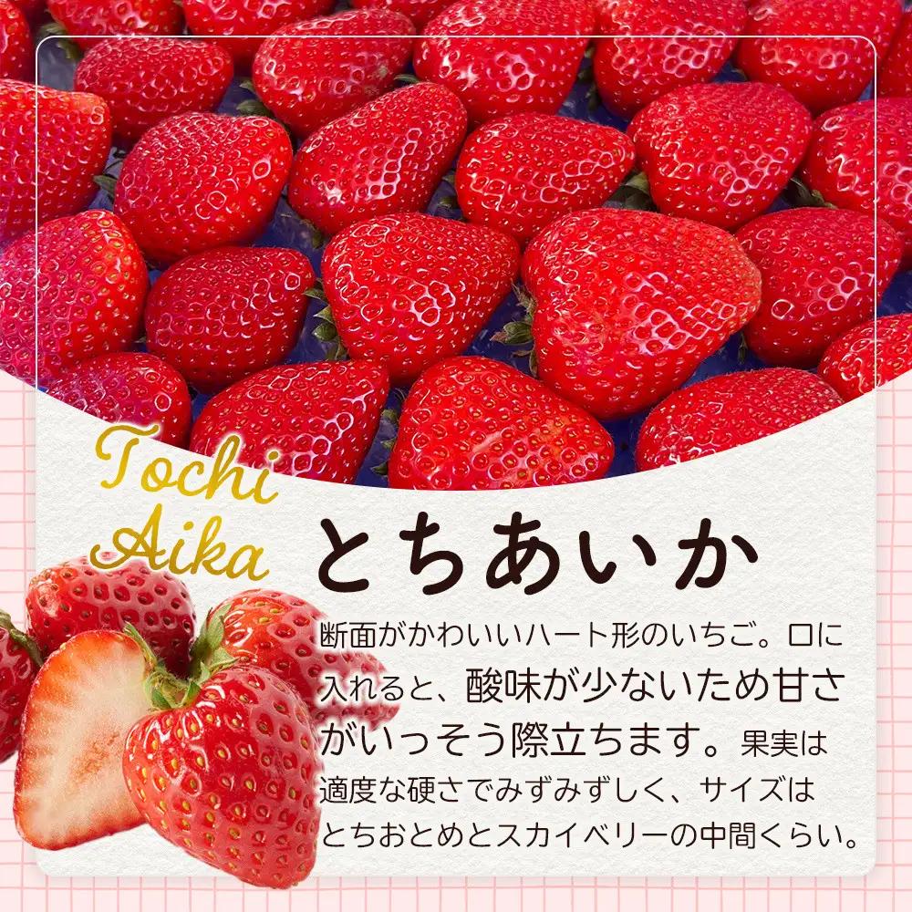 【先行予約受付】≪2027年1月発送≫【数量限定】黒箱 厳選4種の完熟いちご1箱セット ｜果物 いちご 朝取り 新鮮 ハート フルーツ デザート ストロベリー デザート スイーツ 苺 イチゴ 大田原市