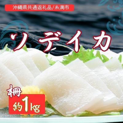 ふるさと納税 国頭村 ソデイカ(セーイカ) 1kg(2〜3柵)