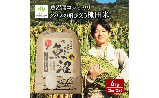 
                  [№5762-0938]令和7年産 ツバメの飛び交う棚田米 精米6kg（3kg×2袋） お米 白米 ライス ご飯 ブランド米 銘柄米 コシヒカリ 魚沼産コシヒカリ 旨味 新潟県産 魚沼市産 
                