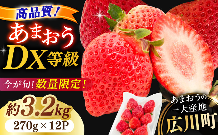 
            【★先行予約★　2026年2月より発送】あまおうDX等級 6ケース（270g×12パック） いちご 苺 フルーツ 果物 くだもの 旬 福岡県産 小分け 広川町 / JAふくおか八女農産物直売所どろや [AFAB006]
          