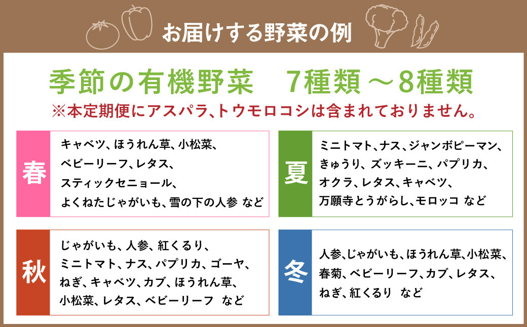 【3ヶ月定期便】有機JAS認定 季節の野菜詰め合わせ ～有機野菜セットC～ 