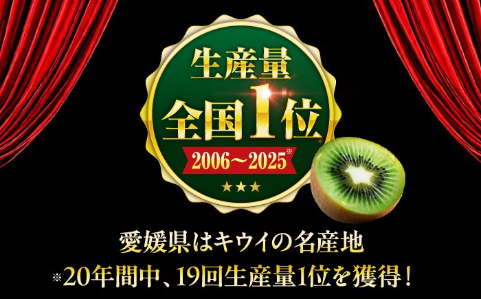食品 果物 フルーツ キウイ キウイフルーツ きうい キュウイ 南国果物 愛媛県 大洲市 デザート スイーツ 人気