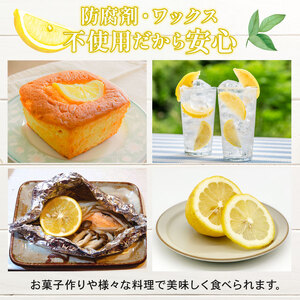 【先行予約】訳ありレモン 1kg ワックス 防腐剤不使用 サイズミックス カラーミックス グリーンレモン イエローレモン 柑橘 傷 不揃い レモン 檸檬 れもん  サイズミックス 規格外 常温 愛南町