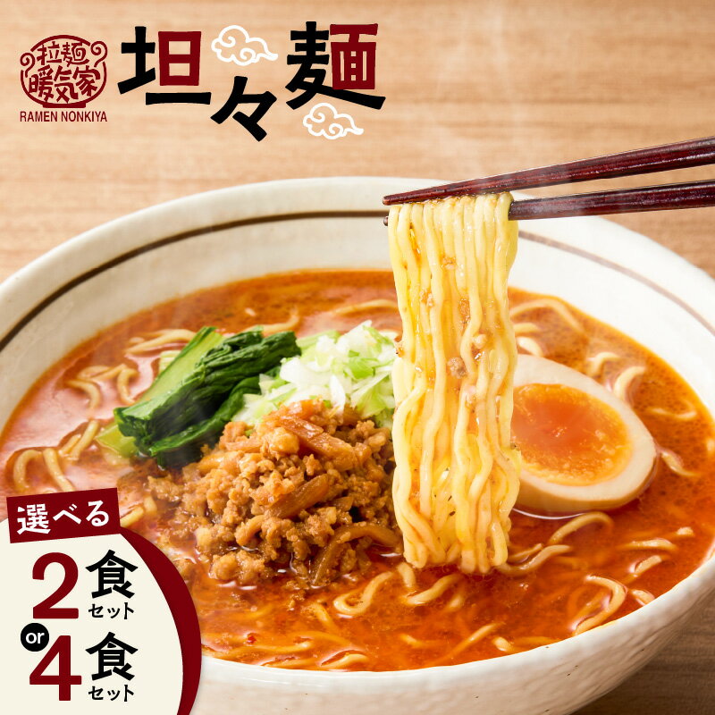 【ふるさと納税】＜選べる容量＞ 暖気家 坦々麺 2食 or 4食 セット ラーメン 担担麵 タンタンメン 拉麺 麺 麺類 保存料不使用 ちぢれ麺 生麺 中華麺 鶏ガラ スープ もちもち おいしい 夕食 昼食 朝食 早ゆで 快笑 鹿児島 おすすめ ランキング プレゼント ギフト