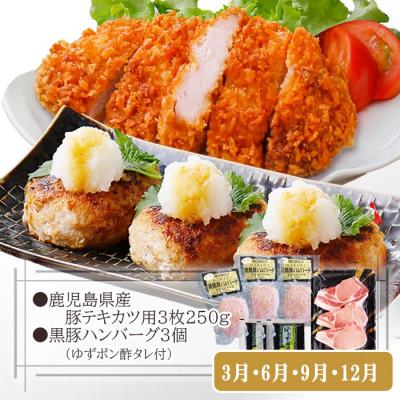 ふるさと納税 枕崎市 定期便3回配送　お楽しみバラエティー　OO-0004 |  | 03