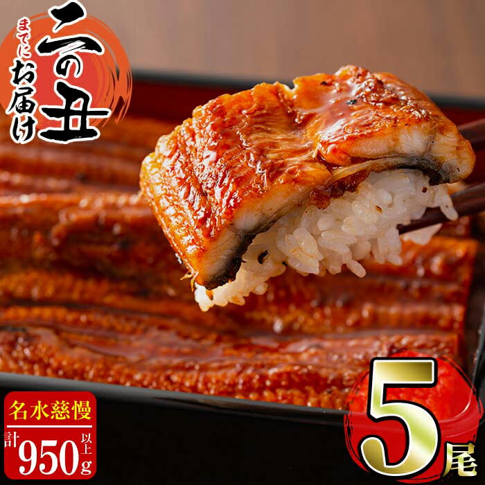 【ふるさと納税】鹿児島県産 うなぎ蒲焼 名水慈鰻(特大5尾 計950g以上/1尾あたり190g以上) うなぎ 鰻 ウナギ 5尾 国産 九州産 蒲焼き かばやき 冷凍 うな重 ひつまぶし タレ 山椒 ランキング 人気【7/21までの入金で 二の丑 (7/31)までにお届け】【鹿児島鰻】
