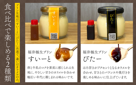 【先行予約　母の日】福井極生プリン すいーと びたー食べ比べセット【6個入り】 [A-208001_sp] / プリン