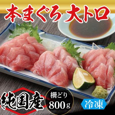 ふるさと納税 越前市 本まぐろ 大トロ 800g(柵どり)
