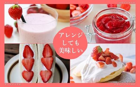 【先行予約】福岡県産あまおう 270g×4パック ※年内発送 農家直送 [TY013-1] ※配送不可：北海道・沖縄・離島【福岡県須恵町】いちご イチゴ 苺 フルーツ 果物 国産 九州 送料無料