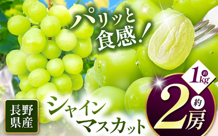 【先行受付：2026年発送】信州産 シャインマスカット 2房（約1㎏）