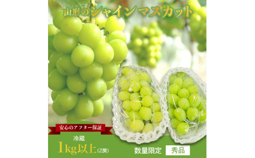 【期間限定】【2026年発送】山形のぶどう(シャインマスカット)2房・計1kg以上_H065(R8)-2