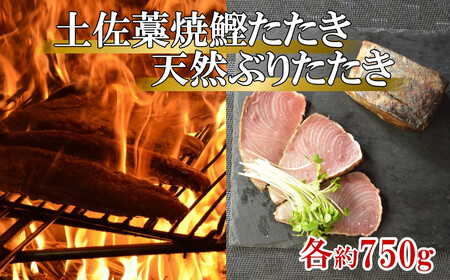 土佐沖 一本釣り かつお と 土佐沖獲れ 天然 ぶり 藁焼きたたき セット［0983］