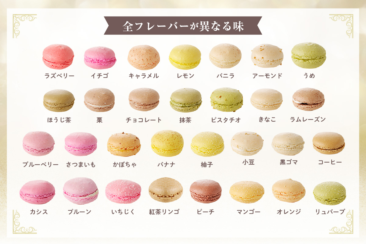 マカロン30個入（30種類）_26-347
