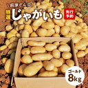 【ふるさと納税】【2025年先行予約】 前原さんの特選じゃがいも 8kg ゴールド 新じゃが じゃがいも 芋 ポテト 野菜 フライドポテト ポテトチップス 期間 数量 限定 特選 極上 手堀り 美味しい 鹿児島 沖永良部 スナップ牧場 知名町 おすすめ プレゼント ランキング ギフト