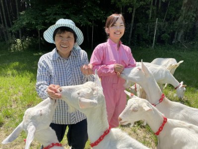 【国産高品質】粉末ヤギミルク 100g×1袋（愛知ヤギ農場産）| 犬 猫 無添加 無着色 パウダー ※離島への配送不可◇