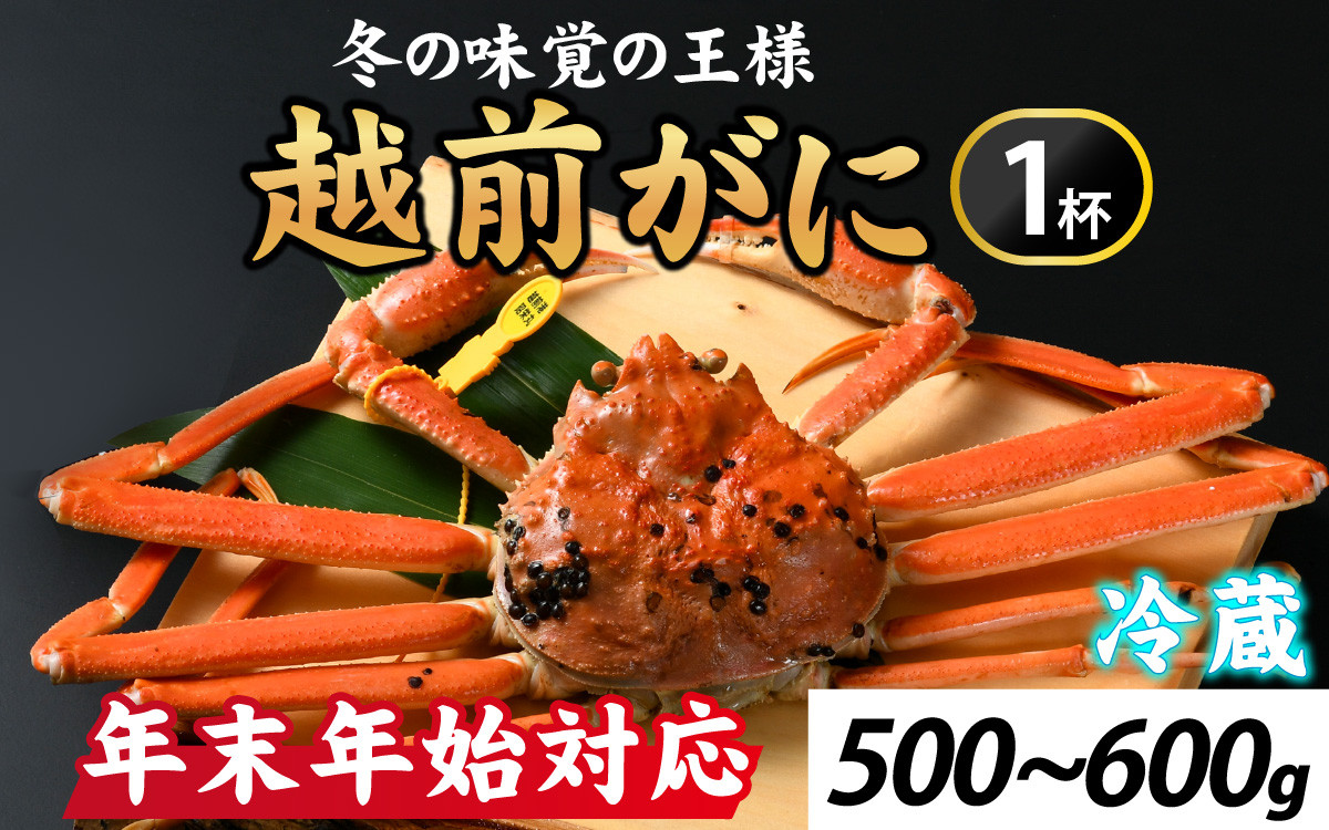 
先行予約【年内発送】冬の王者！茹で越前がに500-600g　１杯【年末年始対応】 [H-065038] / かに 蟹 ずわい ズワイ 茹でがに
