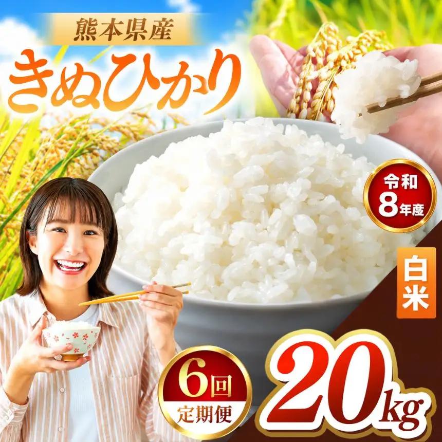 【 定期便 6回 】R8年産 熊本県産 白米 きぬひかり 20kg