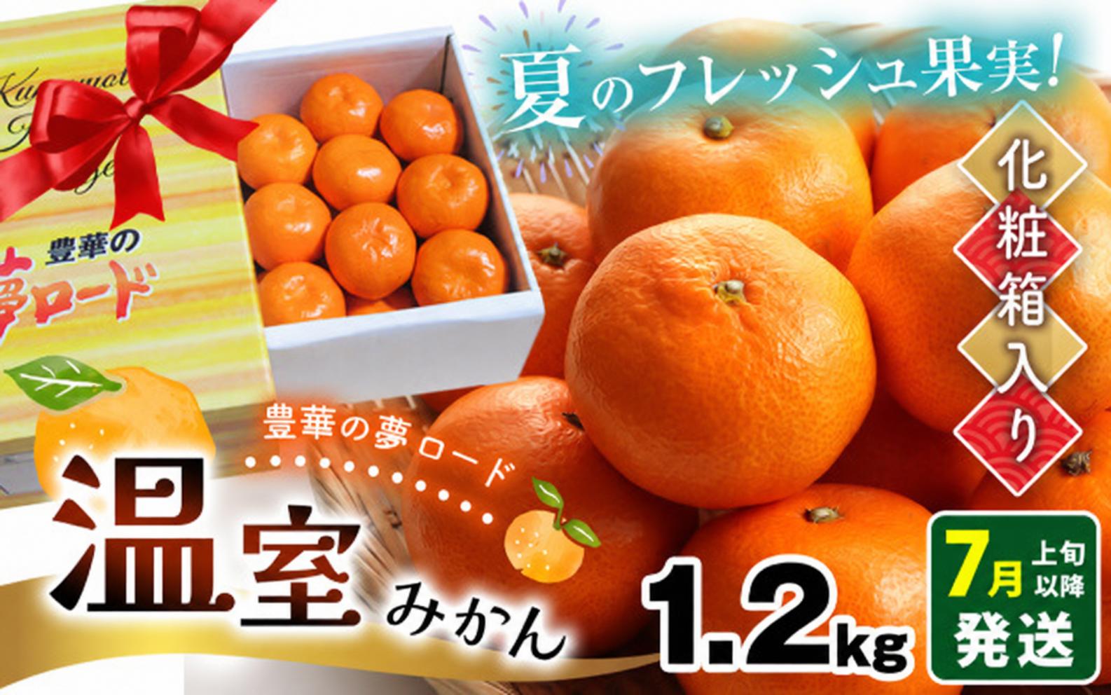 
                  温室みかん 『豊華の夢ロード』 約1.2kg 化粧箱入り | 果物 くだもの 柑橘 みかん ミカン フルーツ 熊本県 玉名市
                