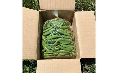 【5月中旬～6月中旬限定発送！】いわき農園のスナップエンドウ 1kg 三陸山田 山田町 野菜 幸姫 有機栽培 無農薬 YD-829