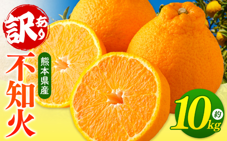 【 ご家庭用 訳あり 】 不知火 10kg | デコポン みかん 不知火 熊本県 玉名市 フルーツ 柑橘 果物